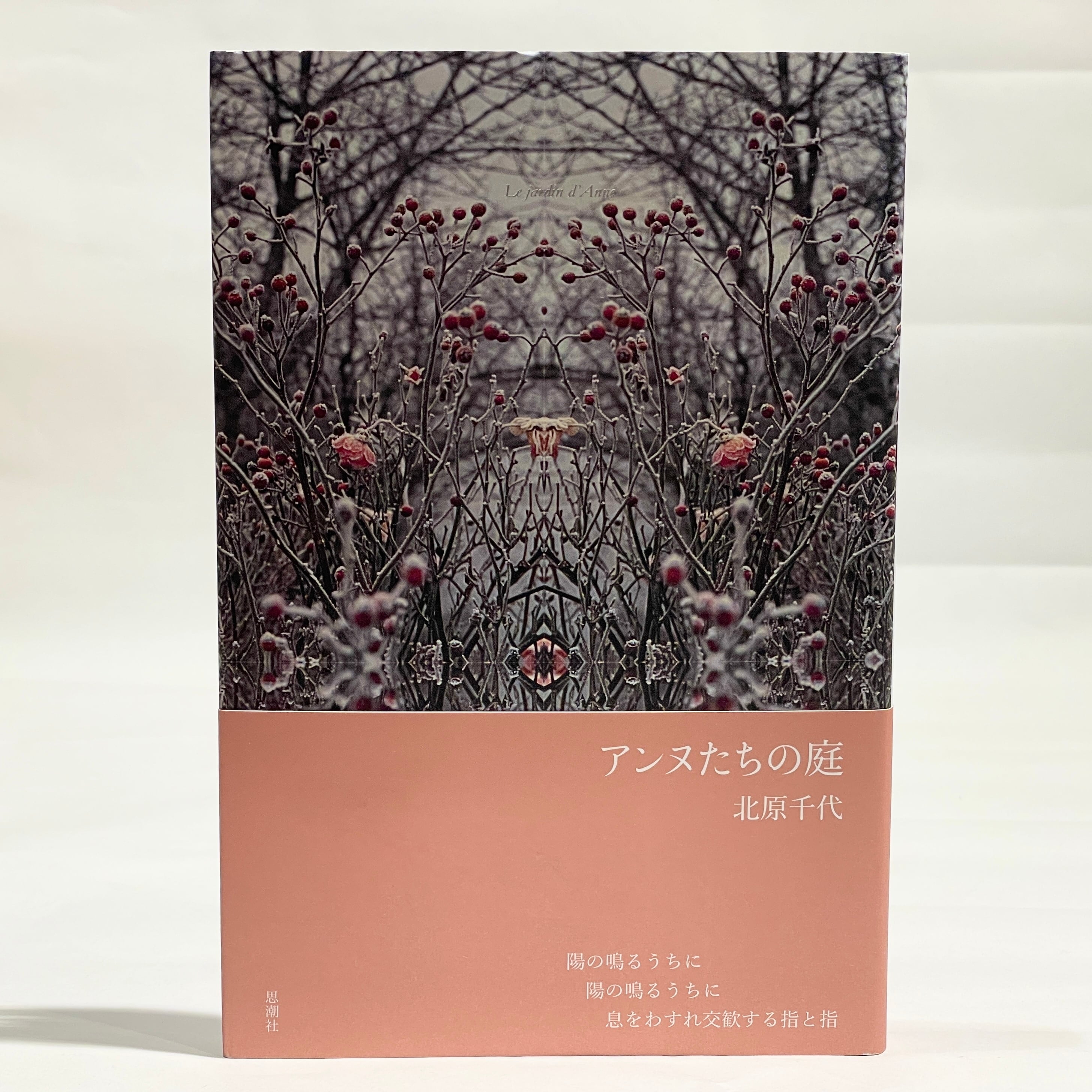 新訳リルケ詩集 / 富岡近雄 訳【古本】 | 七月堂古書部