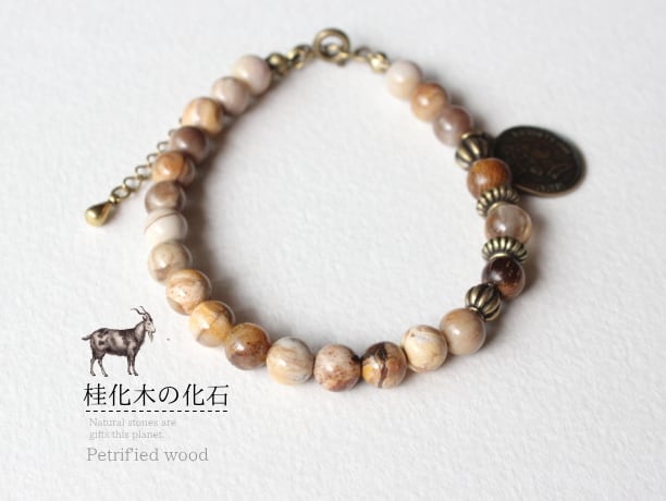 桂化木の化石/ルチルクォーツAAA/Camel