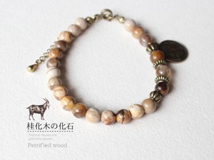 桂化木の化石/ルチルクォーツAAA/Camel