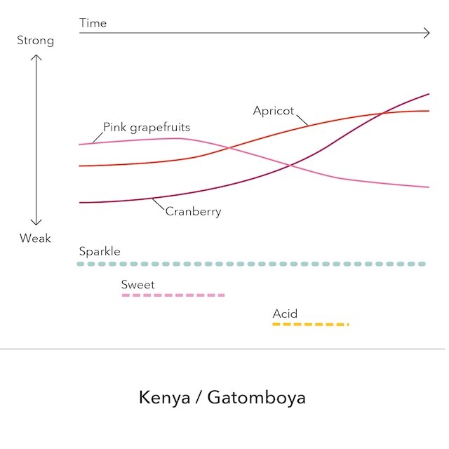 Kenya - Gatomboya   / 200g