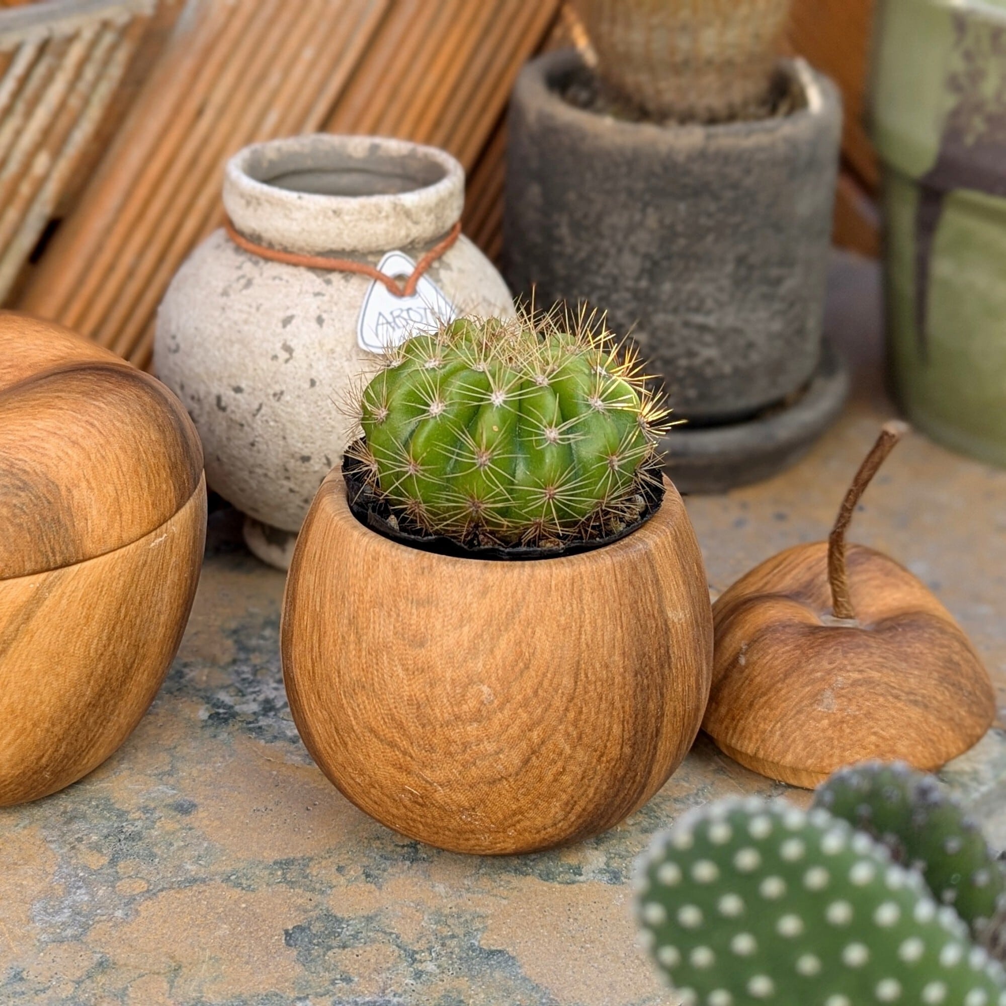 WOOD GRAIN CERAMIC JAR : Apple | BamBooks the Heritage