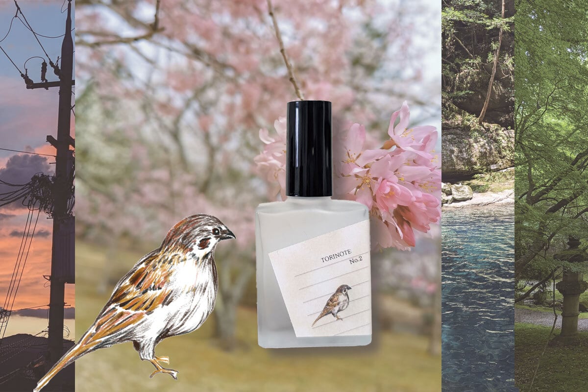 鳥ノート すずめ | コトノカ
