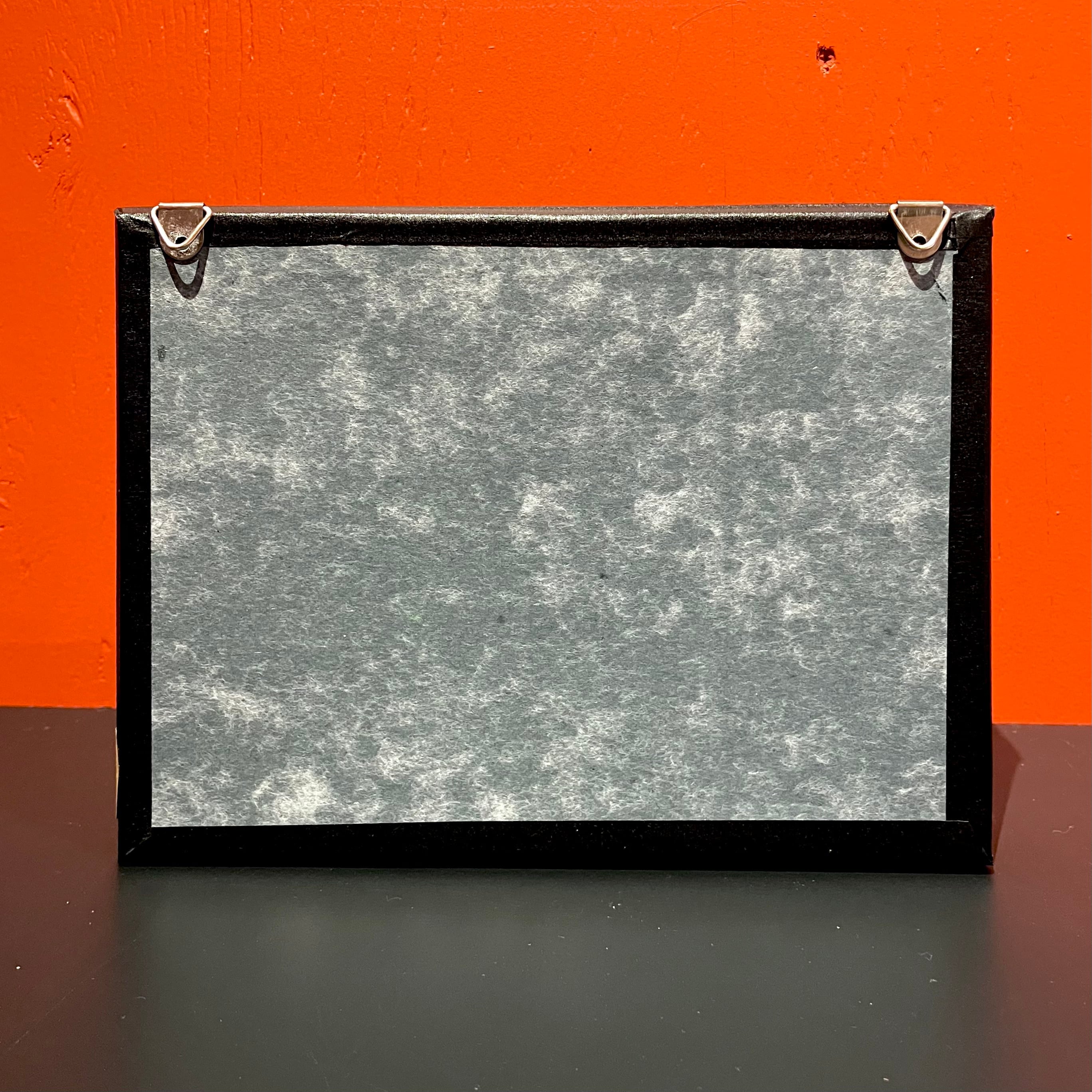 うつせみ標本屋】機械仕掛けの昆虫標本 12 | HOW HOUSE