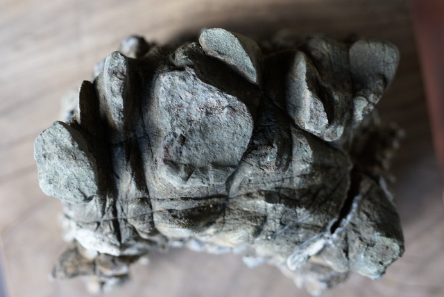 ポンピラ石　誉平石　亀甲石　水石