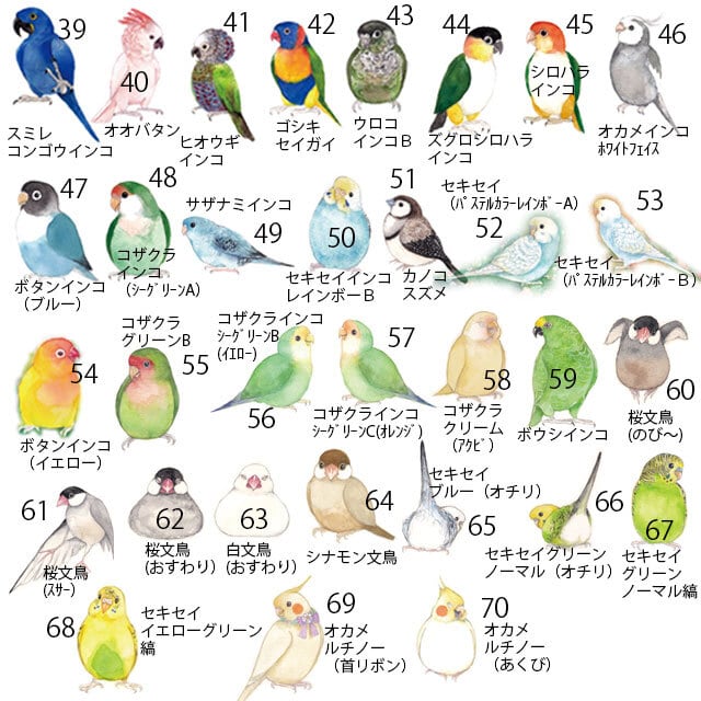 鳥の箸置き 5個セット（80羽から、5匹をチョイス！ はしおき インコ