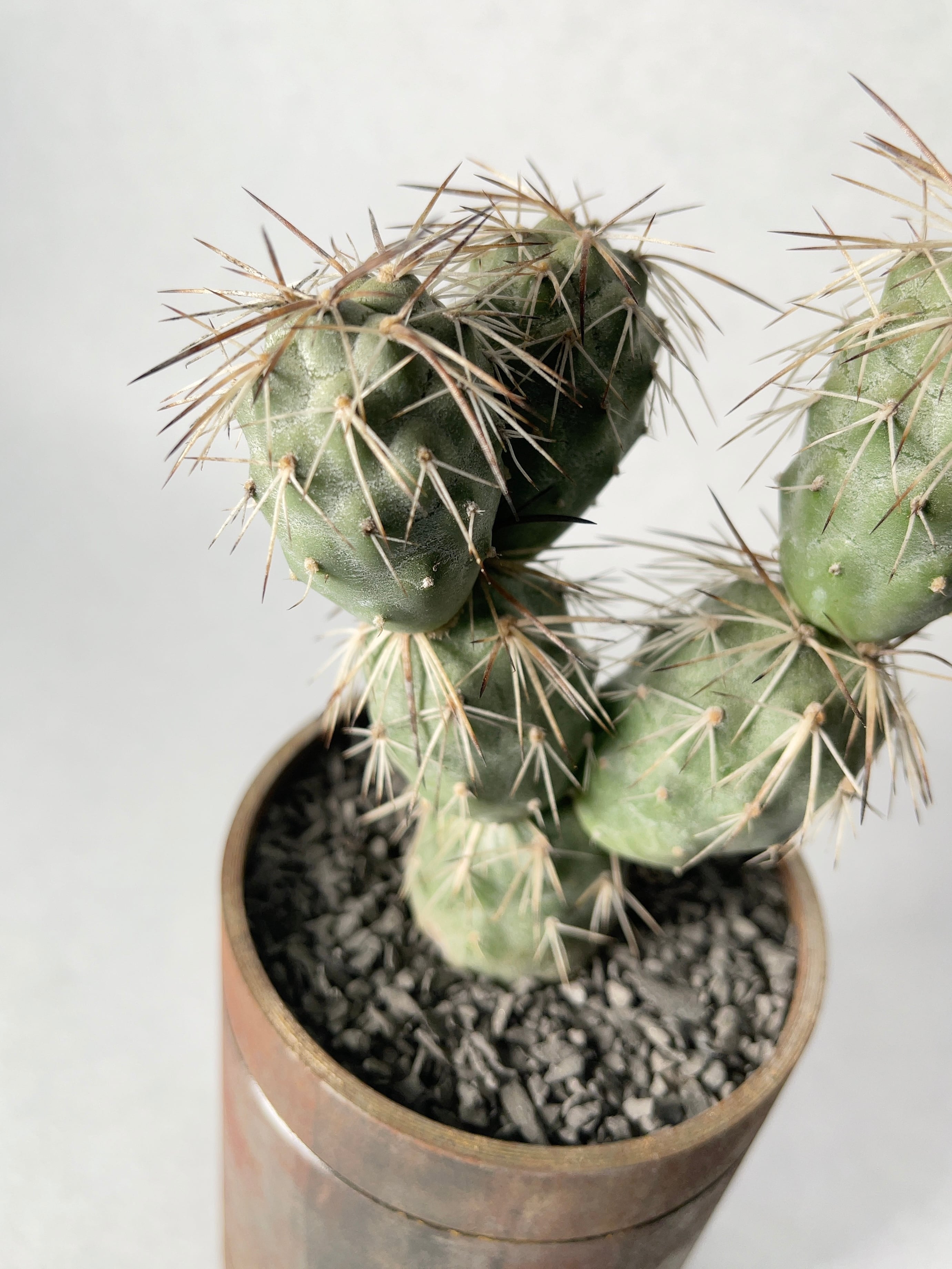 883daddc18dd9bd24fad2f8f83a822