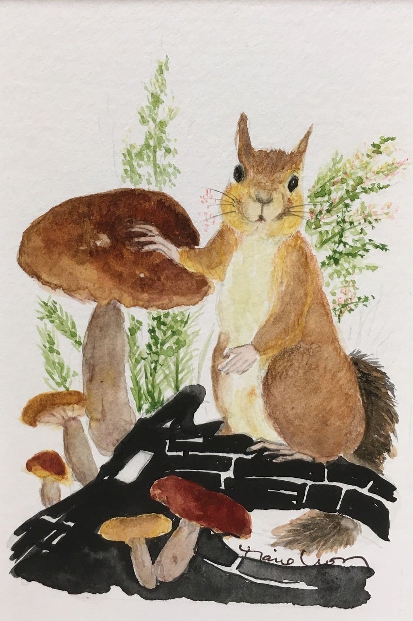 はい、ポーズ!(ジュペちゃん)