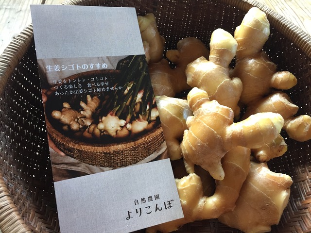 【月１定期】Ginger Lifeのススメ　生姜１kg