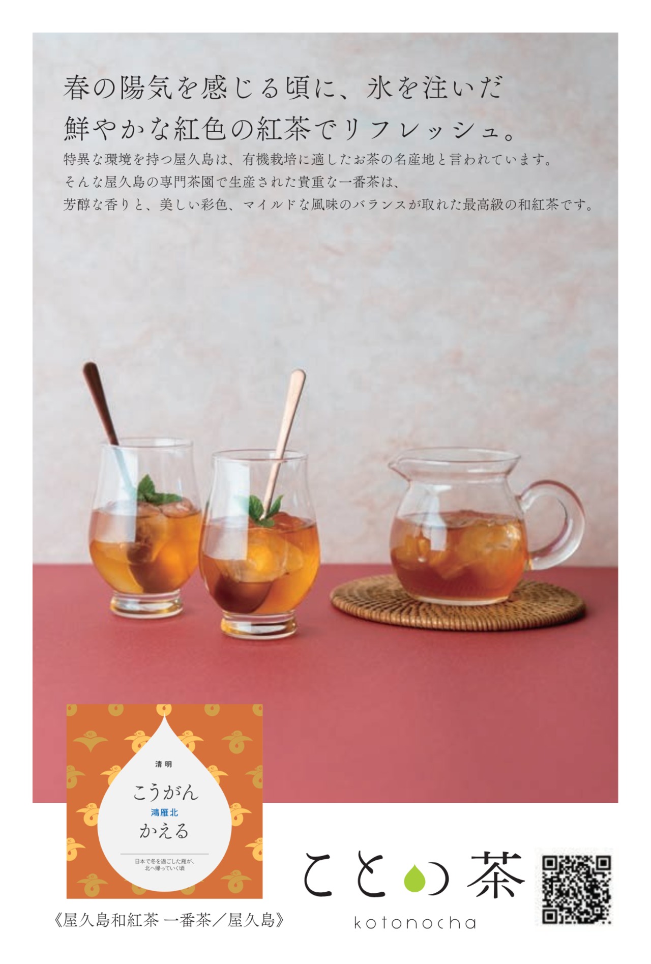 〈清明〉 ことの茶　おくみどり、屋久島和紅茶 一番茶、ほうじ茶つゆひかり