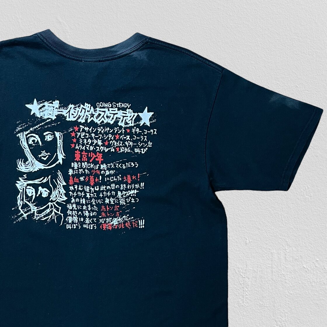 00's GOING ☆ STEADY ゴイステ 銀杏BOYZ band tee | Pay ID