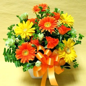 母の日ギフト 【スクエアバスケットのアレンジメント（オレンジ系）】 ＜配送日：5月7日～9日＞ お花はスタッフおまかせ！