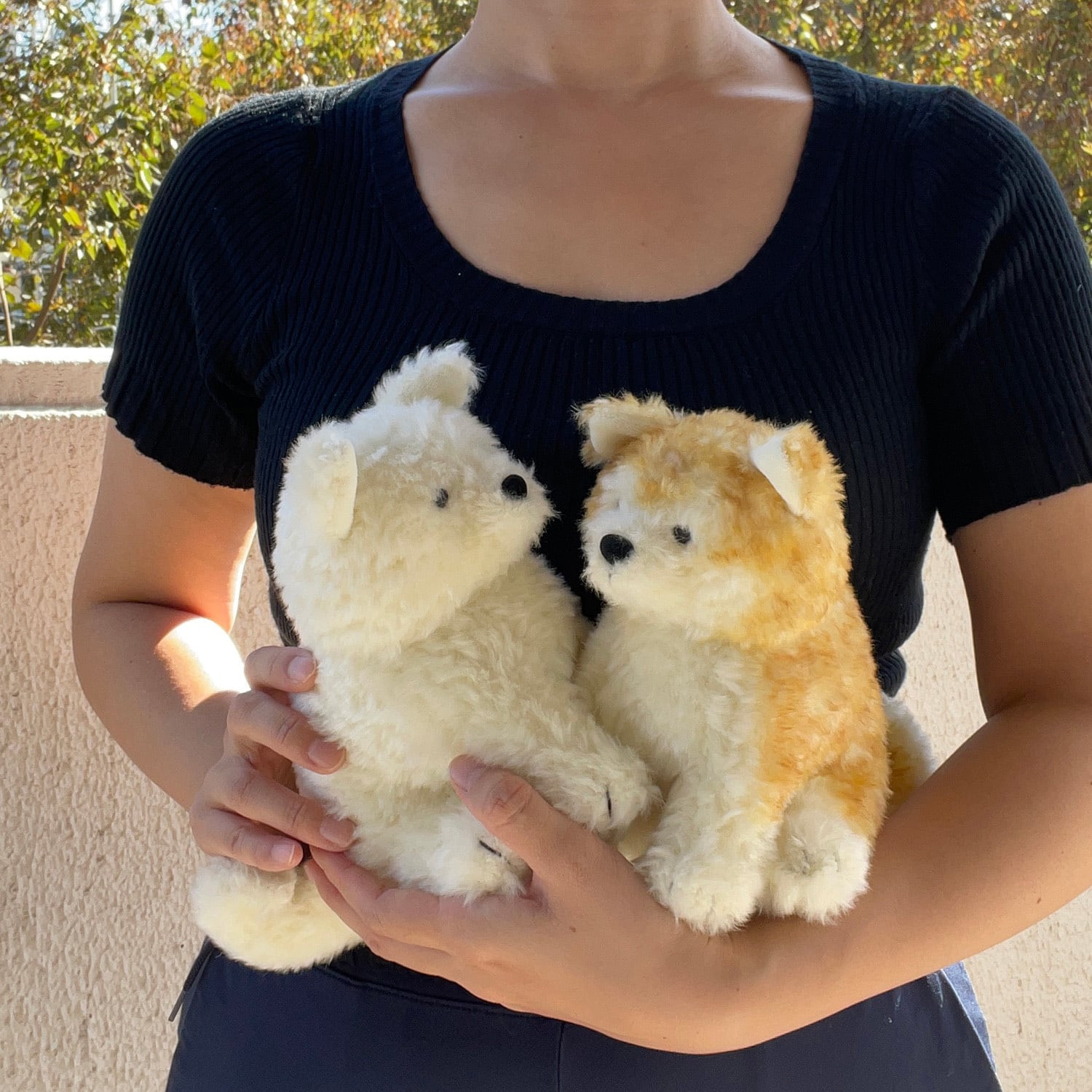 秋田犬わんこ 赤毛 | もふいぬ