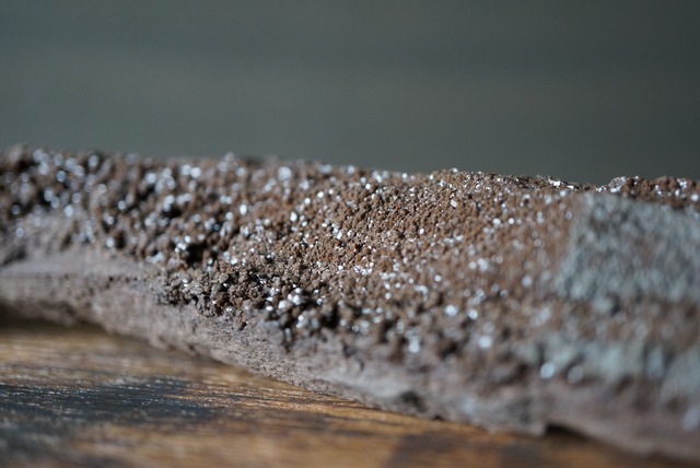 特大ドイツ産ドゥルージーペトリファイドウッド 242mm　Petrified Wood / Quartz　1173