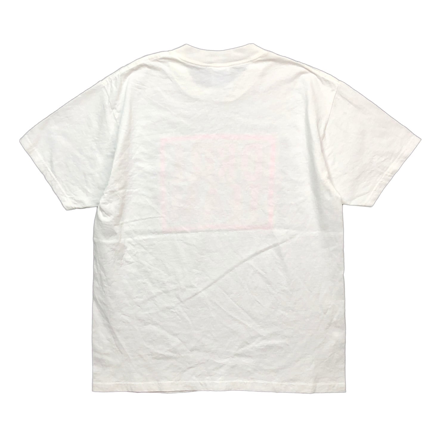 【希少】90s ヘインズ 厚手 USA製 Hiking プリント Tシャツ 半袖