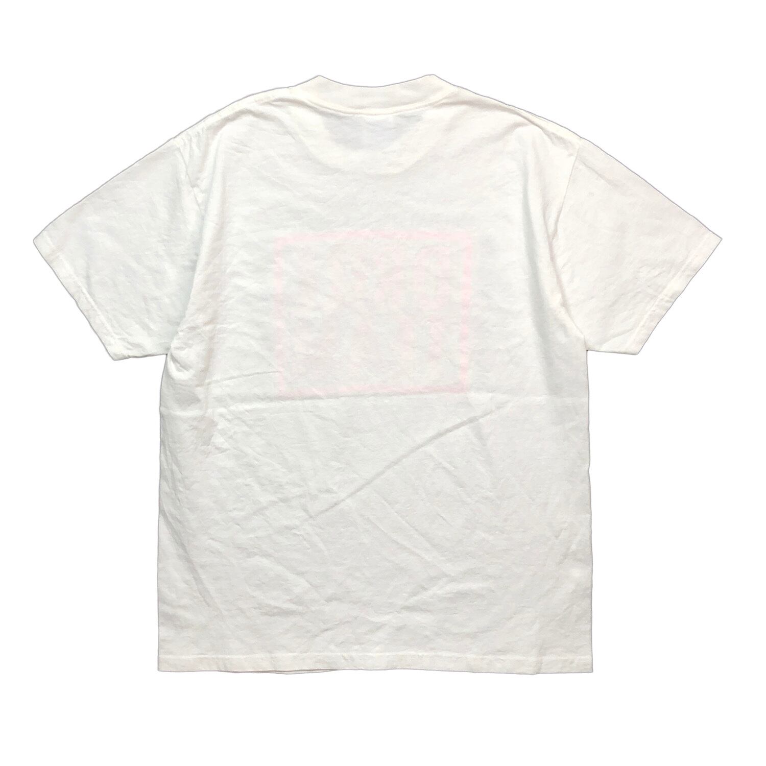 【希少】90s ヘインズ 厚手 USA製 Hiking プリント Tシャツ 半袖