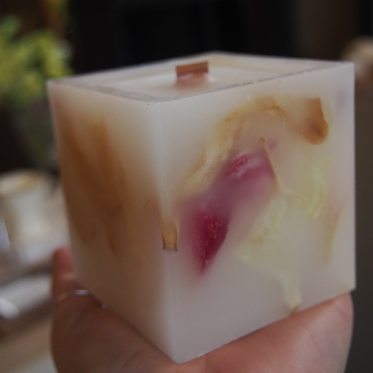 calm candle : tulip