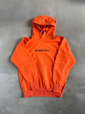 THE NORTH FACE【Trans Antarctica Hoodie】 | LARGE LAB TOWN