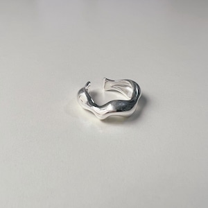 FT0101 [silver925 ring]