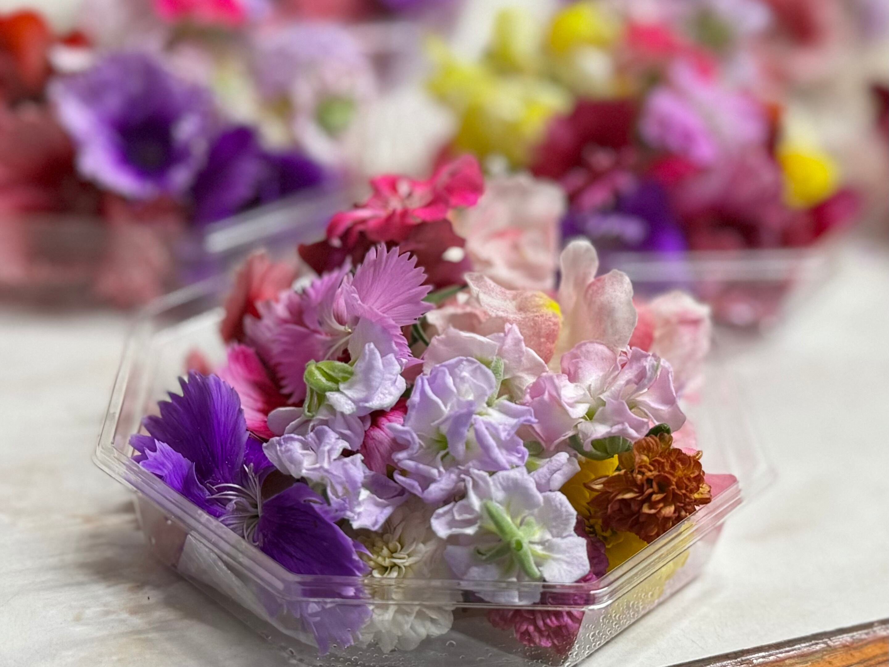 エディブルフラワー 季節の花ミックス【夏・秋】 | 加藤花園