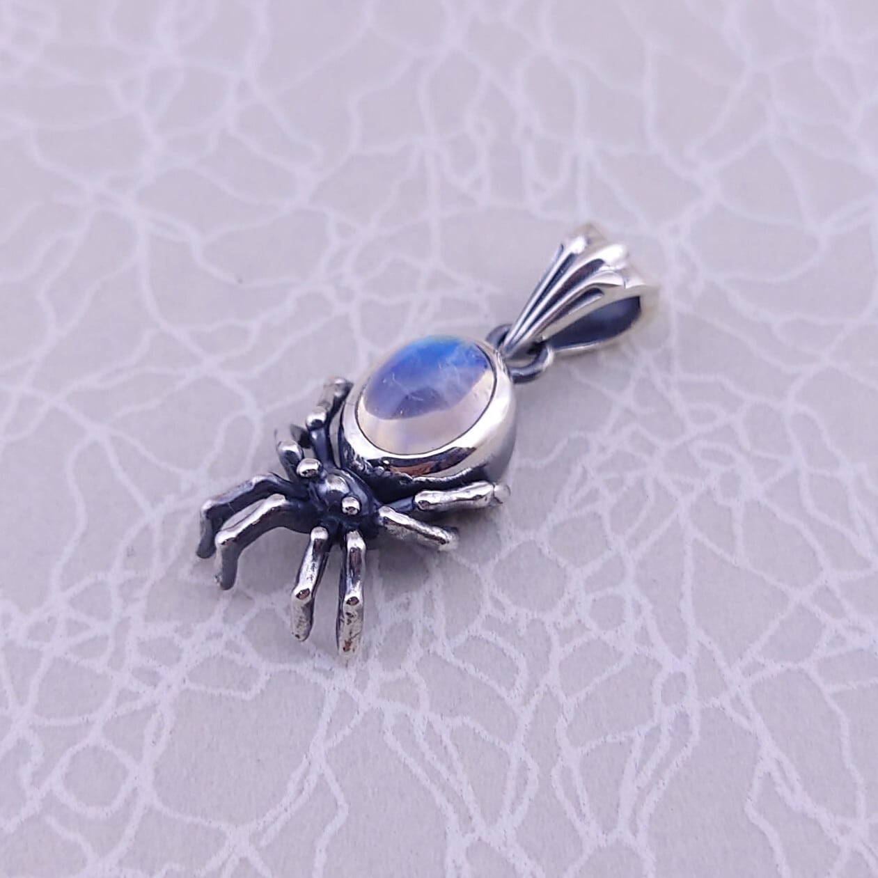 蜘蛛貝 鉱物蜘蛛：月長石 | DEVILJOKER