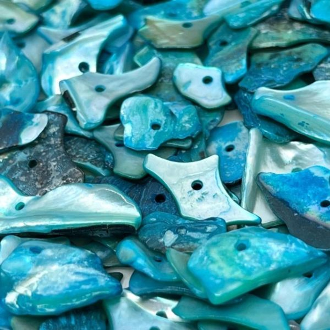 【10g】天然シェル（ブルー）5mm～18mm×5mm～11mm/貝/染色ビーズ/スペーサー