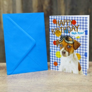 happy birthday/グリーティングカード/犬01（お誕生日おめでとう）/浜松雑貨屋　C0pernicus