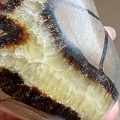 セプタリアン*ハート0633*天然石カービング*天然石インテリア*置き物