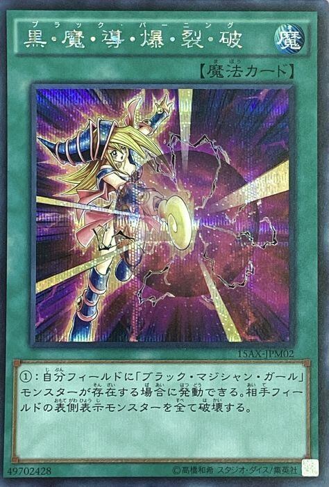 【Bランク】黒・魔・導・爆・裂・破(シク)