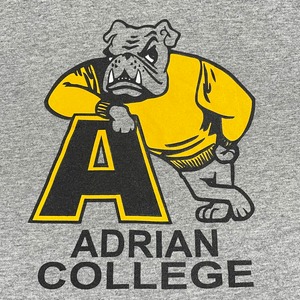 【GILDAN】カレッジ エイドリアン大学 ADRIAN COLLEGE ロゴ イラスト Tシャツ X-LARGE ビッグサイズ US古着