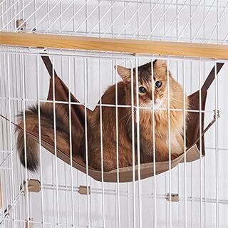 スターターセット[Mタイプ]（ナチュラルウッド）】定価 81,558円(税込