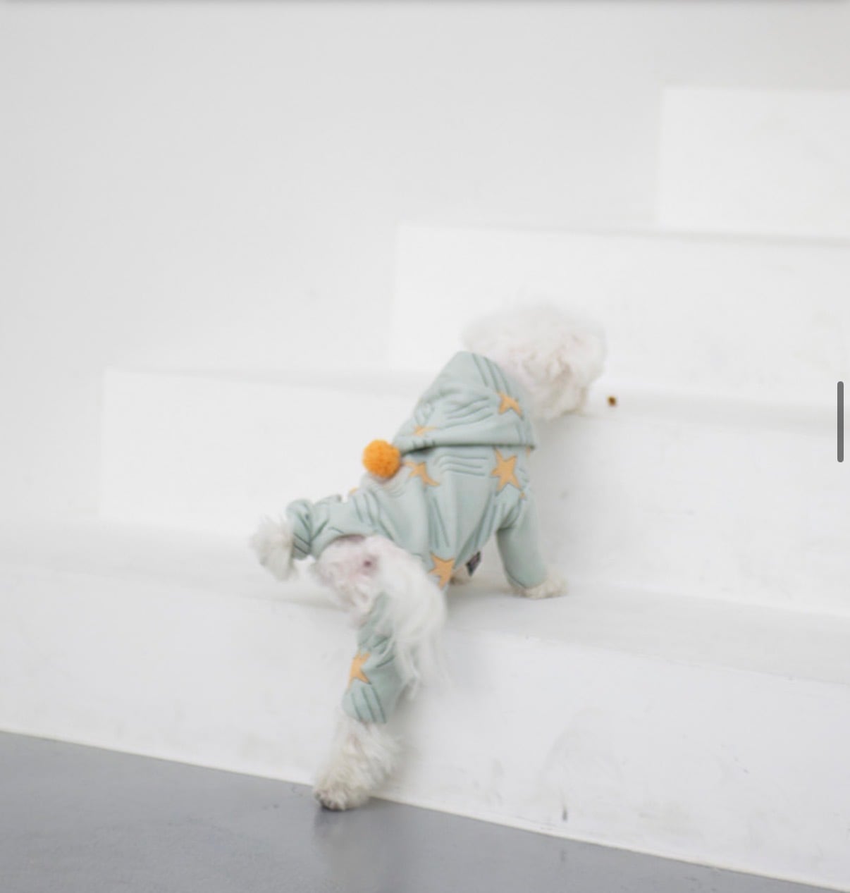 Coco Chien お星さま可愛いロンパース