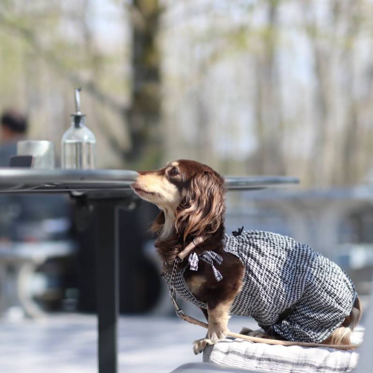 8864645c2768929bfdbd6ec9d84bf2