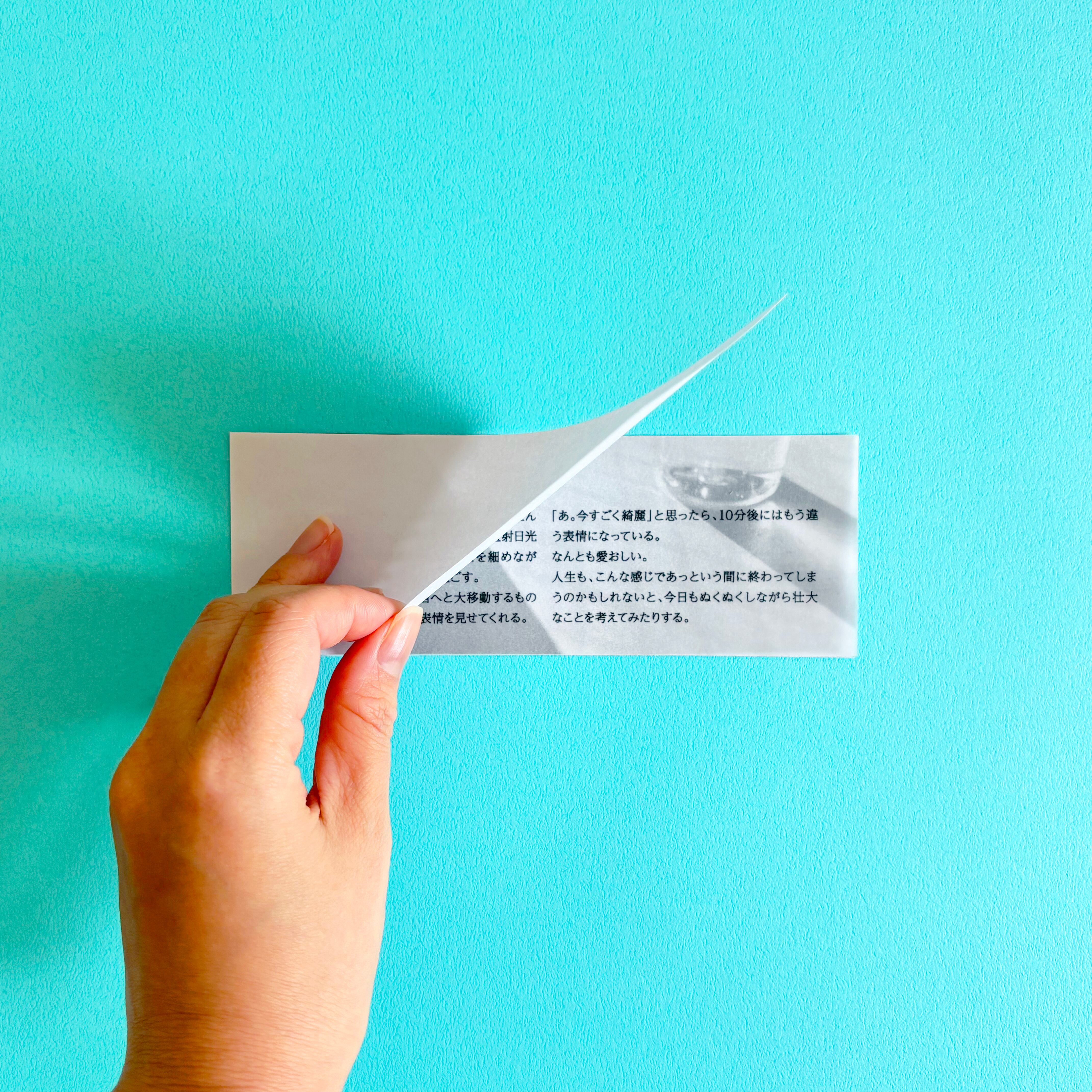 【まり様専用】ポスター二点 出羽海一門 栃錦 千代の山 一行大相撲 ポスター ２点 まとめて◇日本相撲