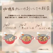 カリー屋 ハウス カレー 辛口 180g×10個 【レンジ調理対応】【レトルト食品】【非常食】