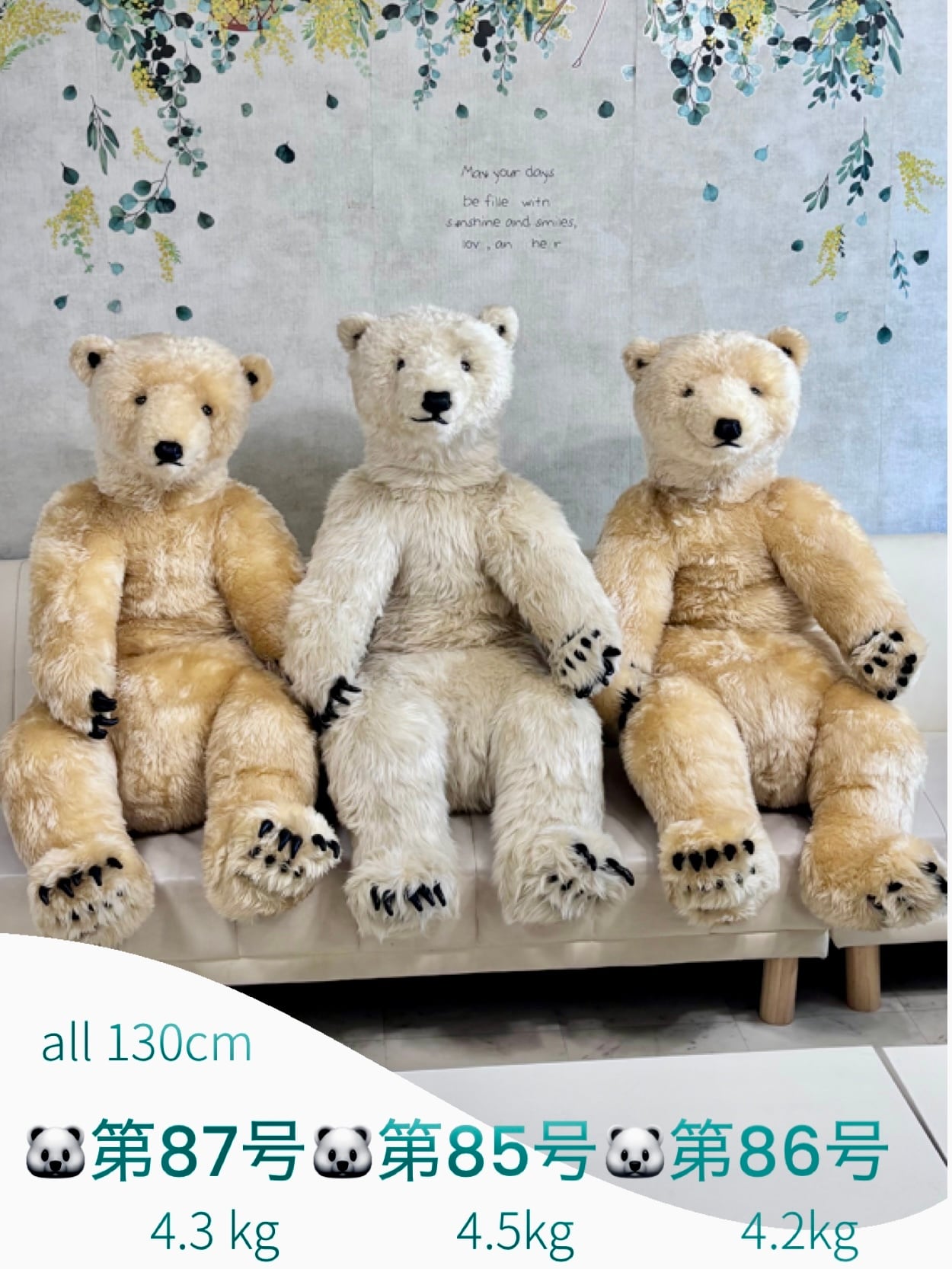 POLAR teddy BEARS .jp