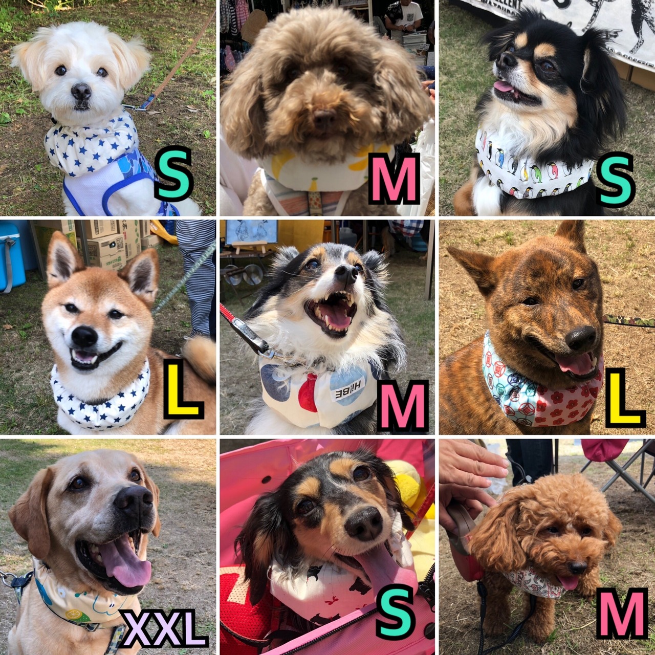 XS  ネッククーラー 犬 小型犬