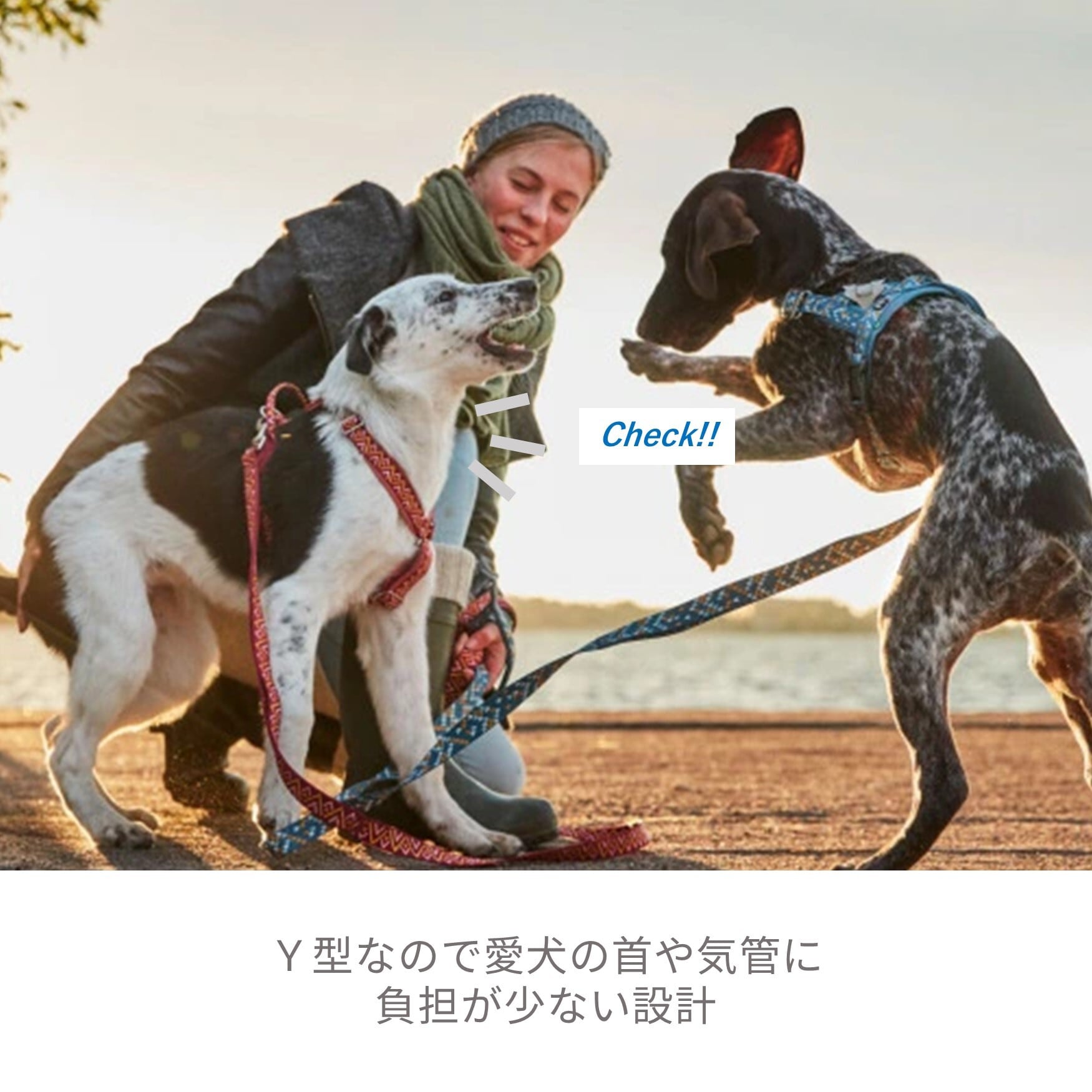 Hurtta】【フルッタ】・ラズルダズルシリーズ「Y型クッションハーネス
