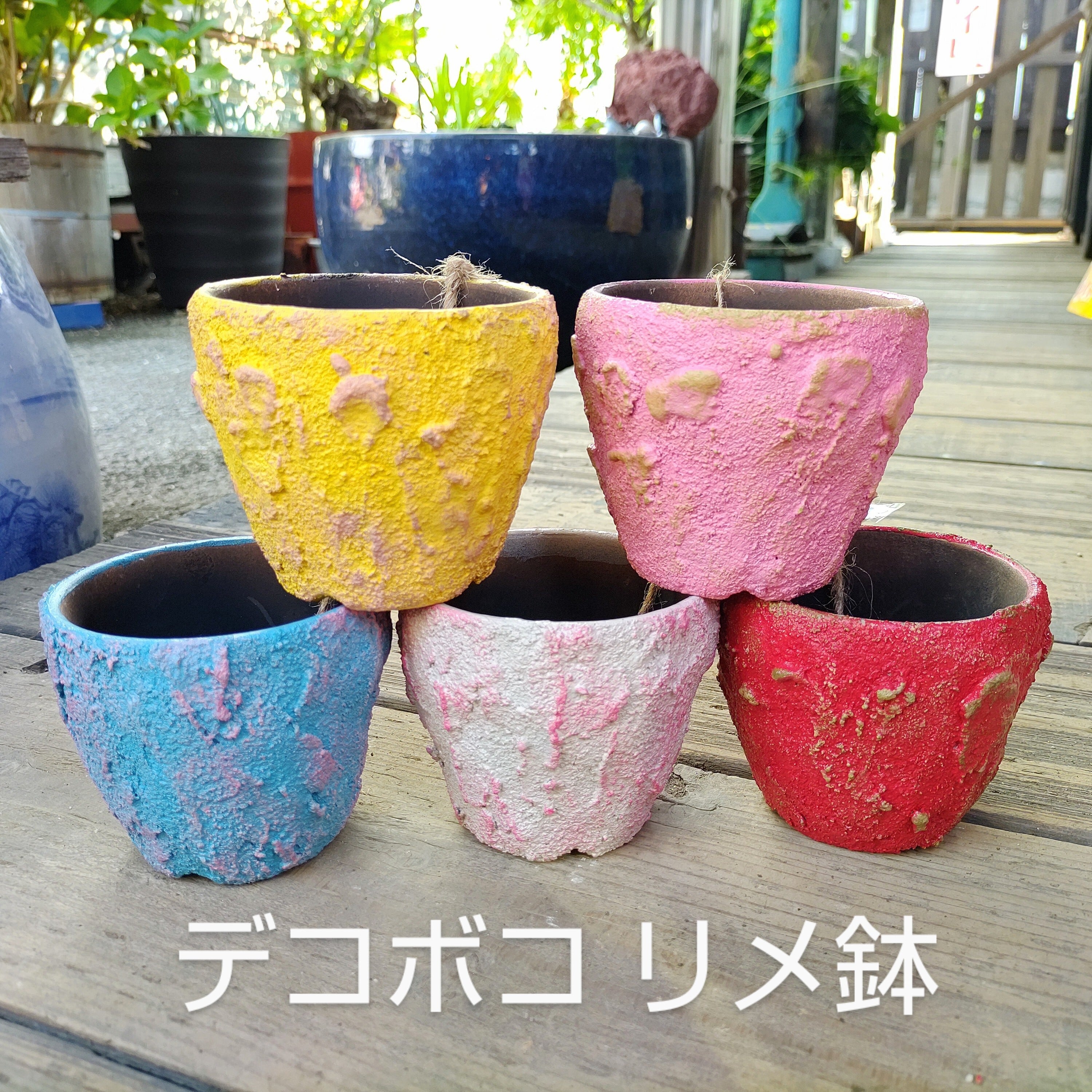 作家さん | RuPo 多肉植物専門店