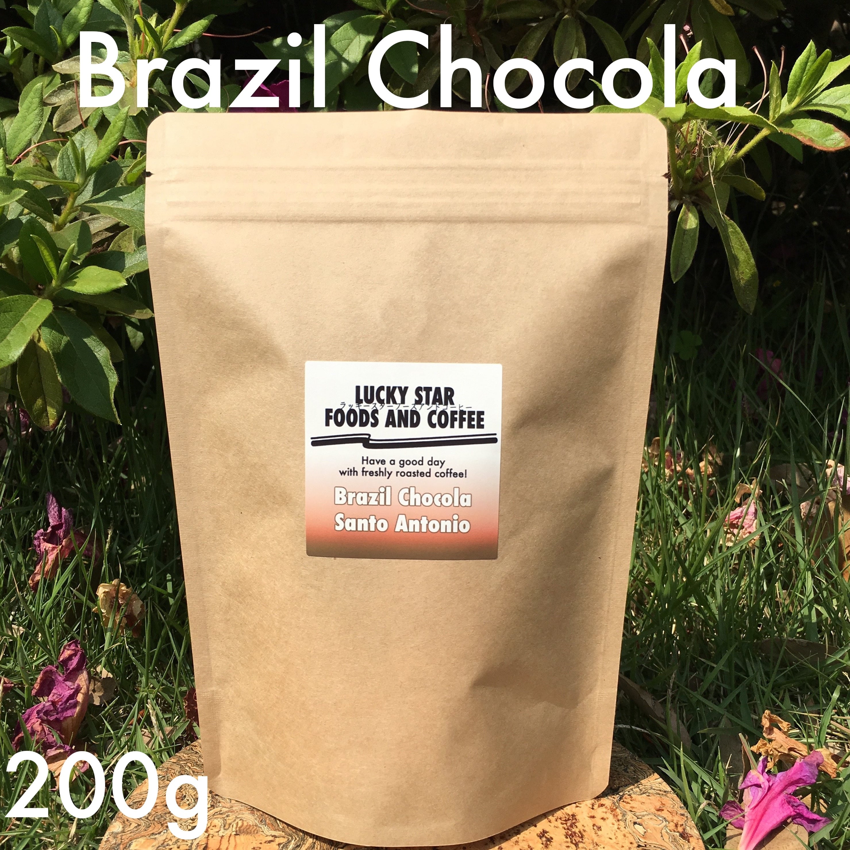 特大容量 深煎り 濃厚ショコラショコラ 焙煎仕立て コーヒー豆 特大容量 深煎り 濃厚ショコラショコラ 焙煎仕立て 遠慮なく