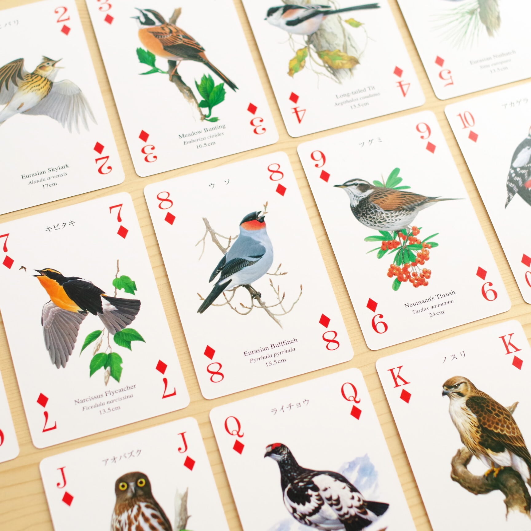 野鳥トランプ 山野の鳥 | 木のおもちゃ専門店 おもちゃ箱 イカロス