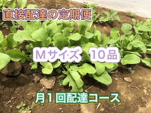 直接配達の定期便　Mサイズ 10品 月1回配達 自動更新