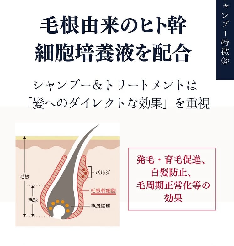 正規販売店】Sangoヒト幹細胞頭皮美容シャンプー ヘアケア 育毛ヘア