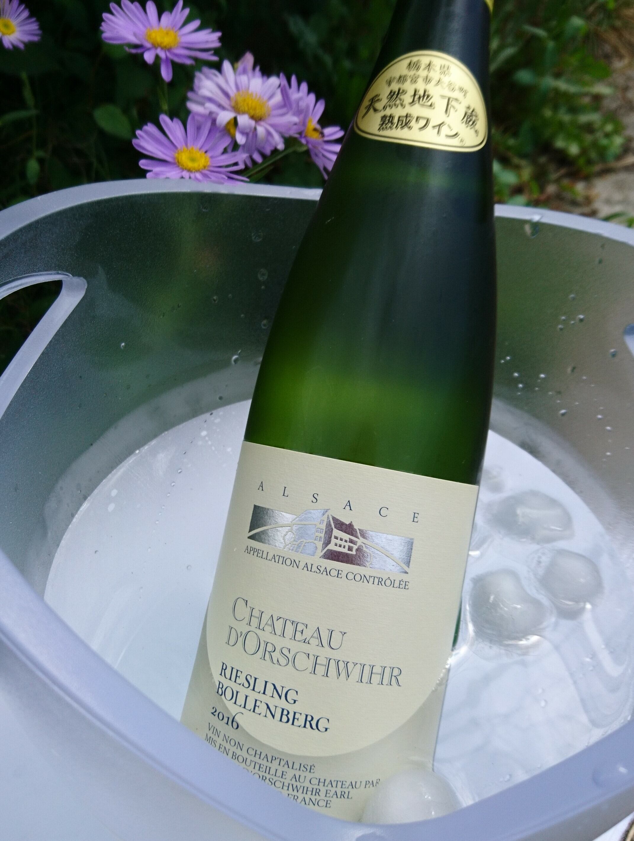 2021年[白] XXI(ヴァンテアン) / ディディエ ダグノー | 大澤田葡萄酒店