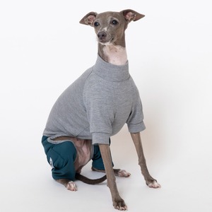 ５スリーブロンパース（5分丈） gray × green  / イタグレ服