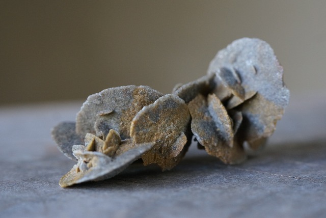 デザートローズ　Desert Rose　(A)