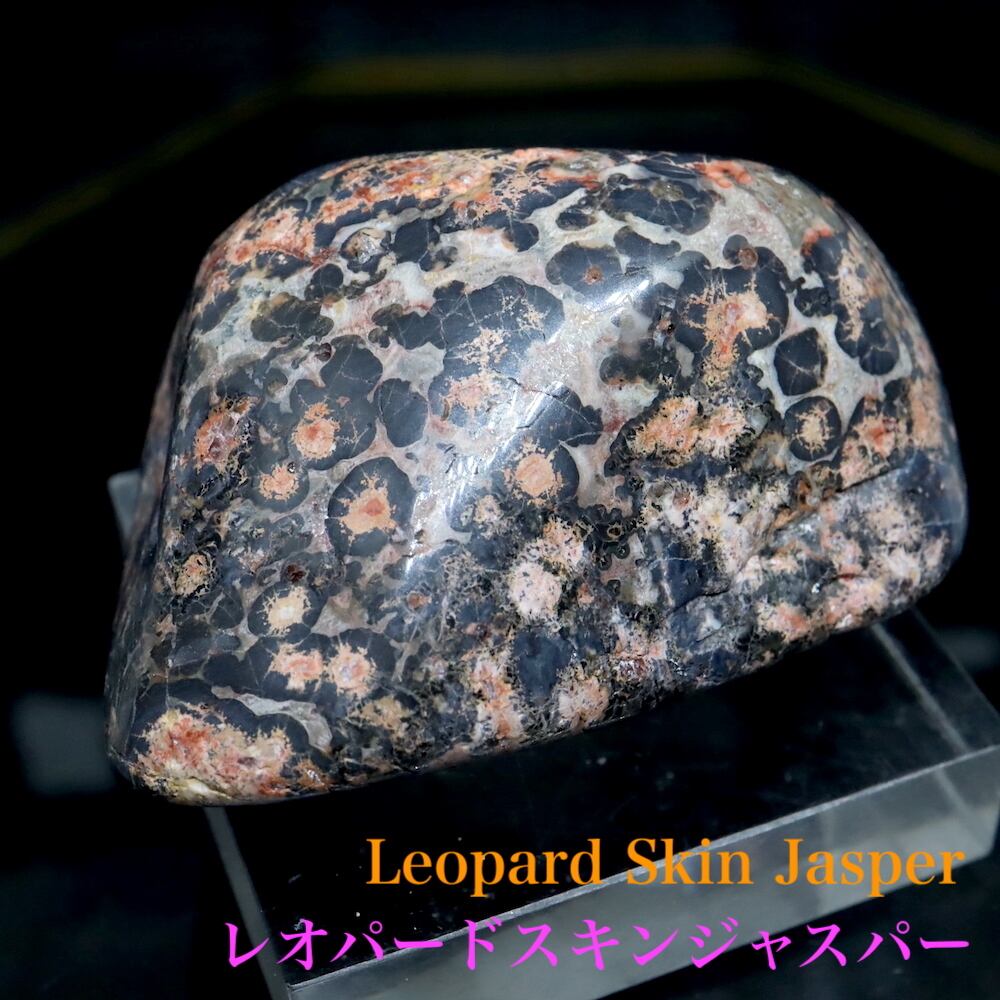 レオパードスキン ジャスパー 碧玉 タンブル 研磨 45,4g LPJ024 原石 天然石 鉱物 パワーストーン
