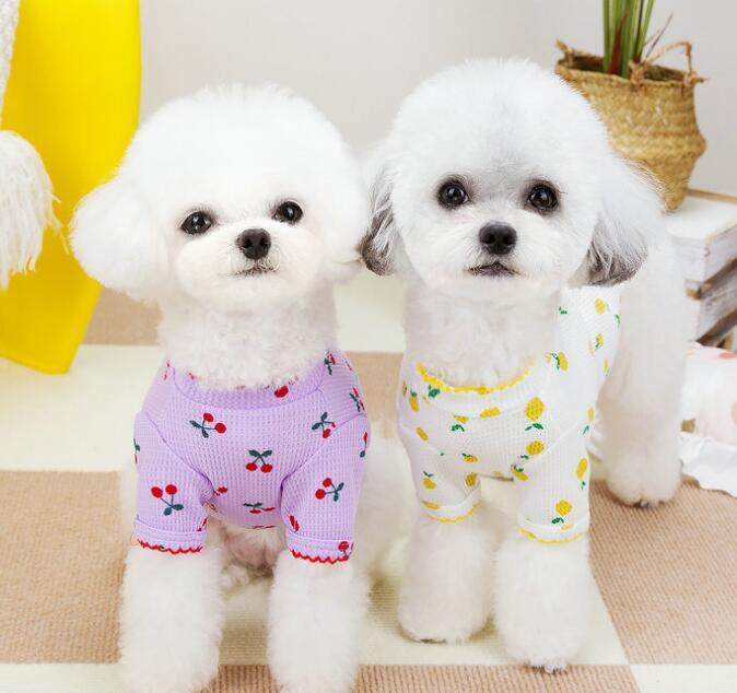 【予約】№1102805 さくらんぼ&レモンのトップス