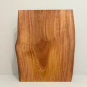 木の結婚証明書|ヤマモモ|No.669