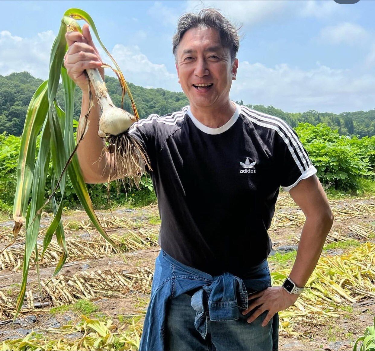 和気のジャンボニンニク【大容量5キロセット】大きな物で通常の