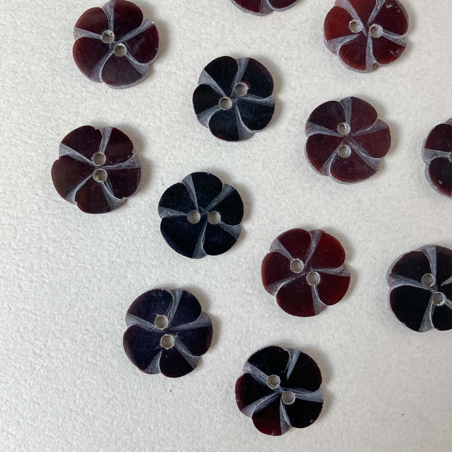 5弁花のシェルボタン(14mm)